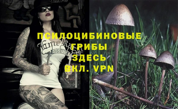 герыч Алексеевка